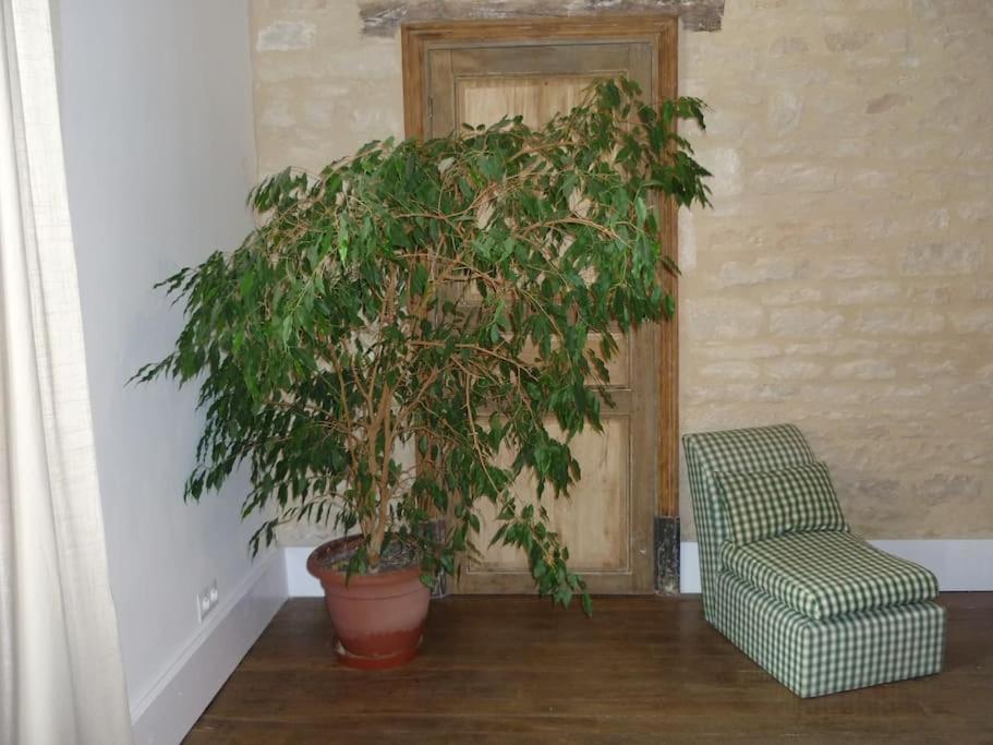Le Presbytere - Touillon, Jacuzzi, 4 Chambres Pour 10 Екстер'єр фото